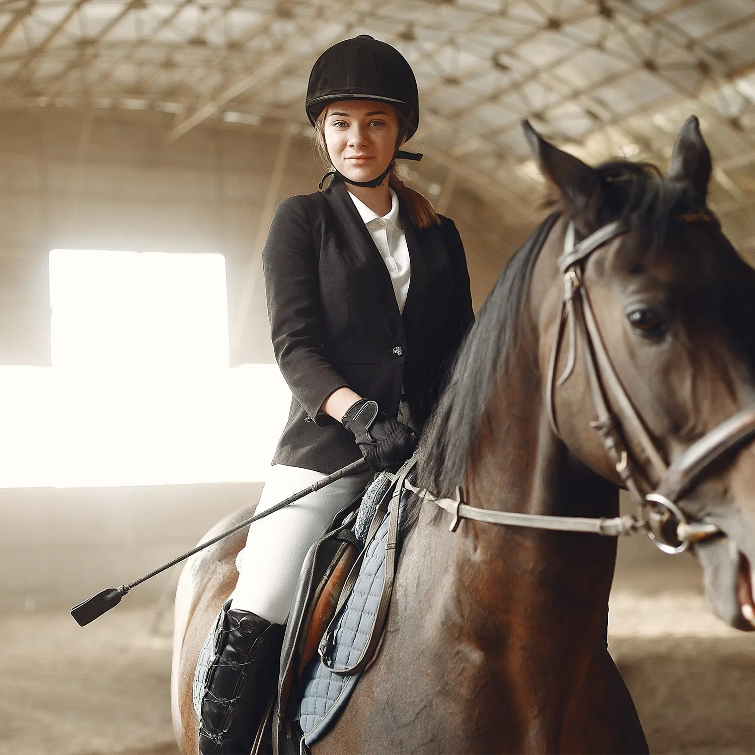 Equestrian Sector | Trekim Bookkeeping Accounting Services Ltd