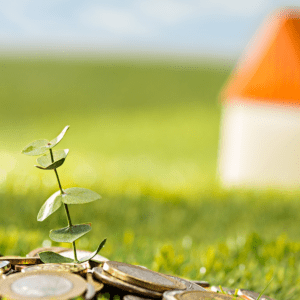 Spring Clean Your Finances